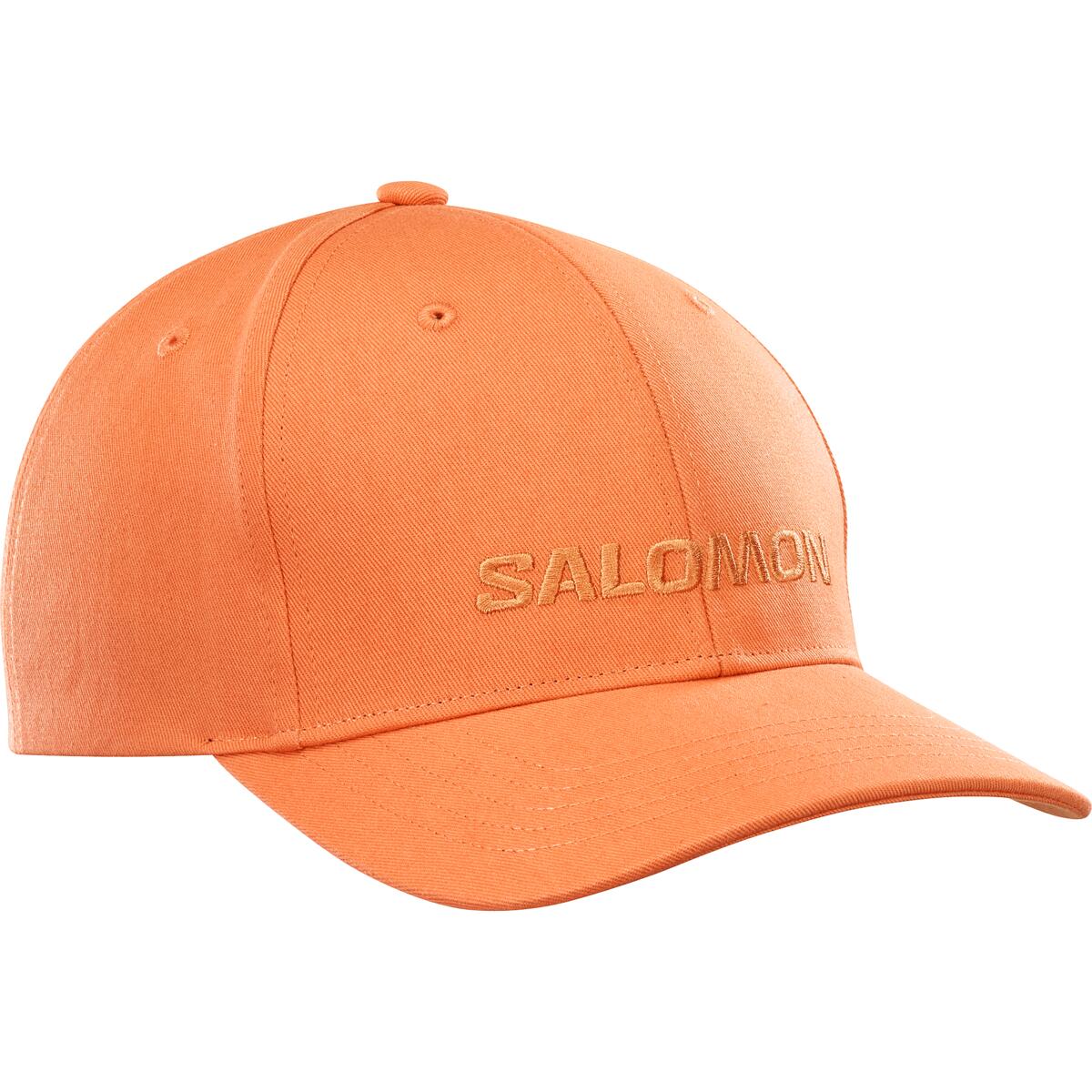 SALOMON LOGO CAP